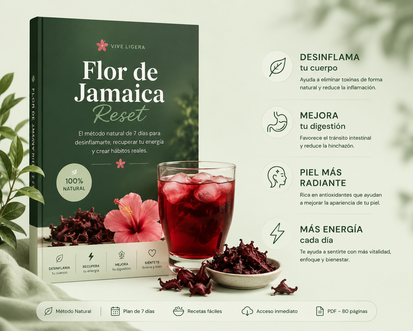 Flor de Jamaica Reset