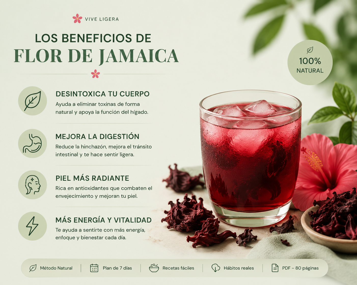 Flor de Jamaica Reset