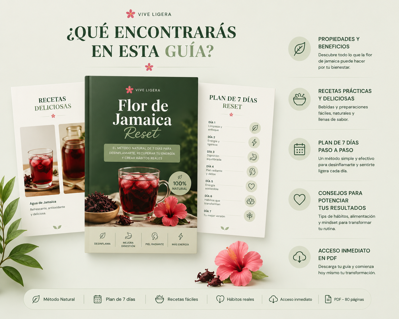 Flor de Jamaica Reset