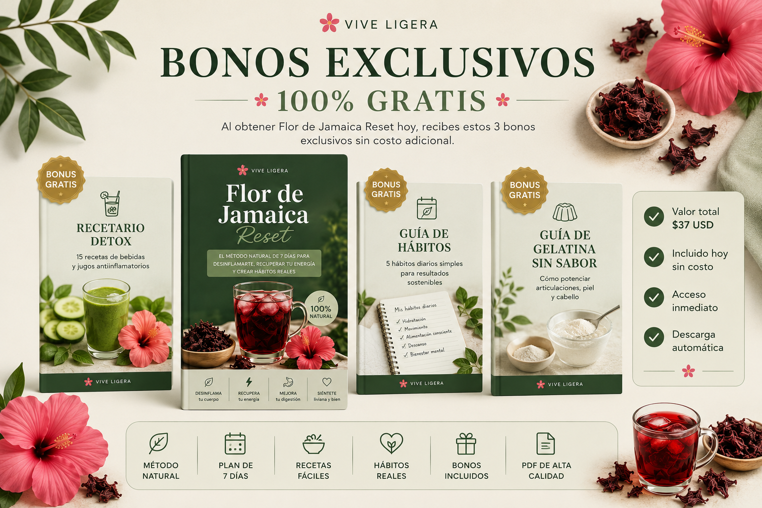 Flor de Jamaica Reset
